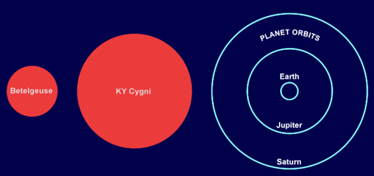This chart puts the new size estimates into perspective. At left is Betelgeuse, the best-known red supergiant star. In the middle is KY Cygni, one of the three stars analyzed as part of the recent research. The circles at right show the orbits of planets in our own solar system, drawn to scale. If KY Cygni were to switch places with our own sun, Earth and all the other planets as far out as Jupiter would be toast.